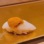 梅田 鮨 よこ田 - いかの雲丹のせ