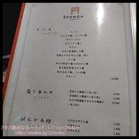PONGA PREMIUM - 