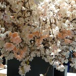 JAPAN RAIL CAFE - 桜