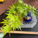 西大和 さえき - 青紅葉