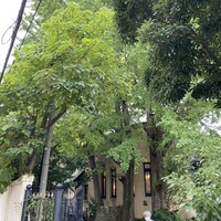 小笠原伯爵邸 - 