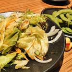 Jidori Semmon Tenii Toko Dori - サラダは和風のドレッシング