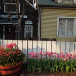 ケープコッド・クックオフ - （2013/4月）