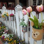 ケープコッド・クックオフ - （2013/4月）