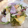オステリア　チリエージョ - 料理写真:鎌倉野菜のサラダ