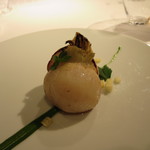 レフェルヴェソンス - 「定点」（un point fixe）の蕪