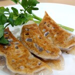 MIKIYA GYOZA STAND - 鹿肉のラグー餃子1個250円