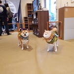 鎌倉乃豆柴カフェ - 