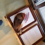 鎌倉乃豆柴カフェ - 