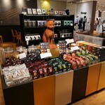 CACAOCAT - 