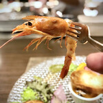 キャトルラパン - 海老リフト