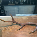 朔 - 三又の角だと15歳以上だそうです