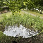 朔 - 聞けば、この丸い池は田んぼとか