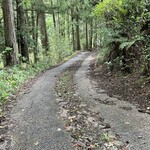 朔 - お店までの道は細いです