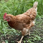 朔 - みんな自然を満喫