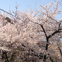 ルアン 鮒鶴京都鴨川リゾート - 