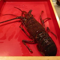 鉄板焼 しろや 銀座亭 - 伊勢海老