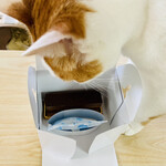 ショコラティエ マサール 本店 - 