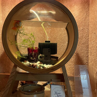 お料理 とみやま - 