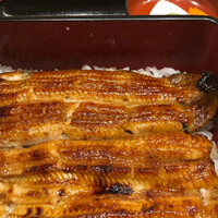 うなぎ割烹 白金台 まつ本 - 