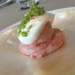 SEZANNE - エビちゃんです