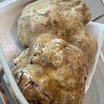 SEZANNE - しろトリュフ　拡大。アルバ産。