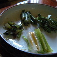 出羽屋 - 山菜四種盛り♪