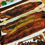 Sumiyaki Unagi Hyakuwa Tei - 