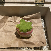 RAMA 白金 - 