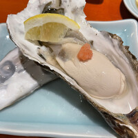 魚竹 - 