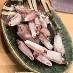 木挽町 とも樹 - ラッコの大好物の蝦蛄爪