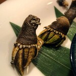 どんつき左 - どんつき左　亀の手のようなカメノテは貝？