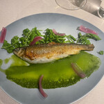 トムクリオーザ - 