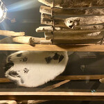 マディキャット - 豆大福。