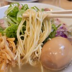 京都ラーメン 森井 - 細麺