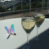 ツキ シュール ラメール - 