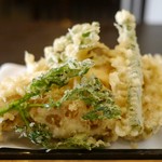 18792660 - 野菜天6品