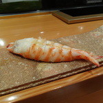 鮨 おさむ - 玄海灘の車海老。デカイ！