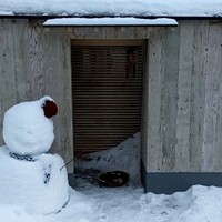 霜止出苗 - 