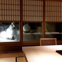 霜止出苗 - 