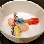 島津 - 増毛のボタン海老