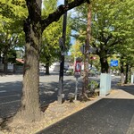 MIHARA KITCHEN - 20号線沿いは銀杏並木で、銀杏がたくさん転がっていました。