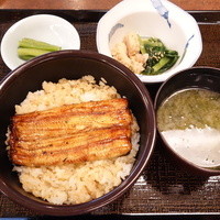 割烹 蒲焼 大沼 - うな丼ランチ1260円
