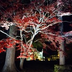 Hakodate Dainingu Gaya - 夜の 香雪園
