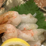 鮨処 音羽 - ボタン海老