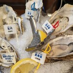 Oyster Bar ジャックポット - 