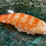 鮨 富海 - 車海老