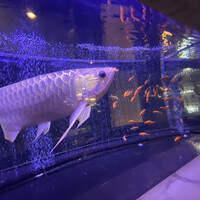 焼肉 拍手喝采 - 