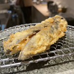 Tempura Kobashi - 