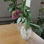 タリル珈琲 - 活け花から根っこが